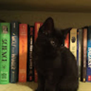 Meet your Posher, Cora